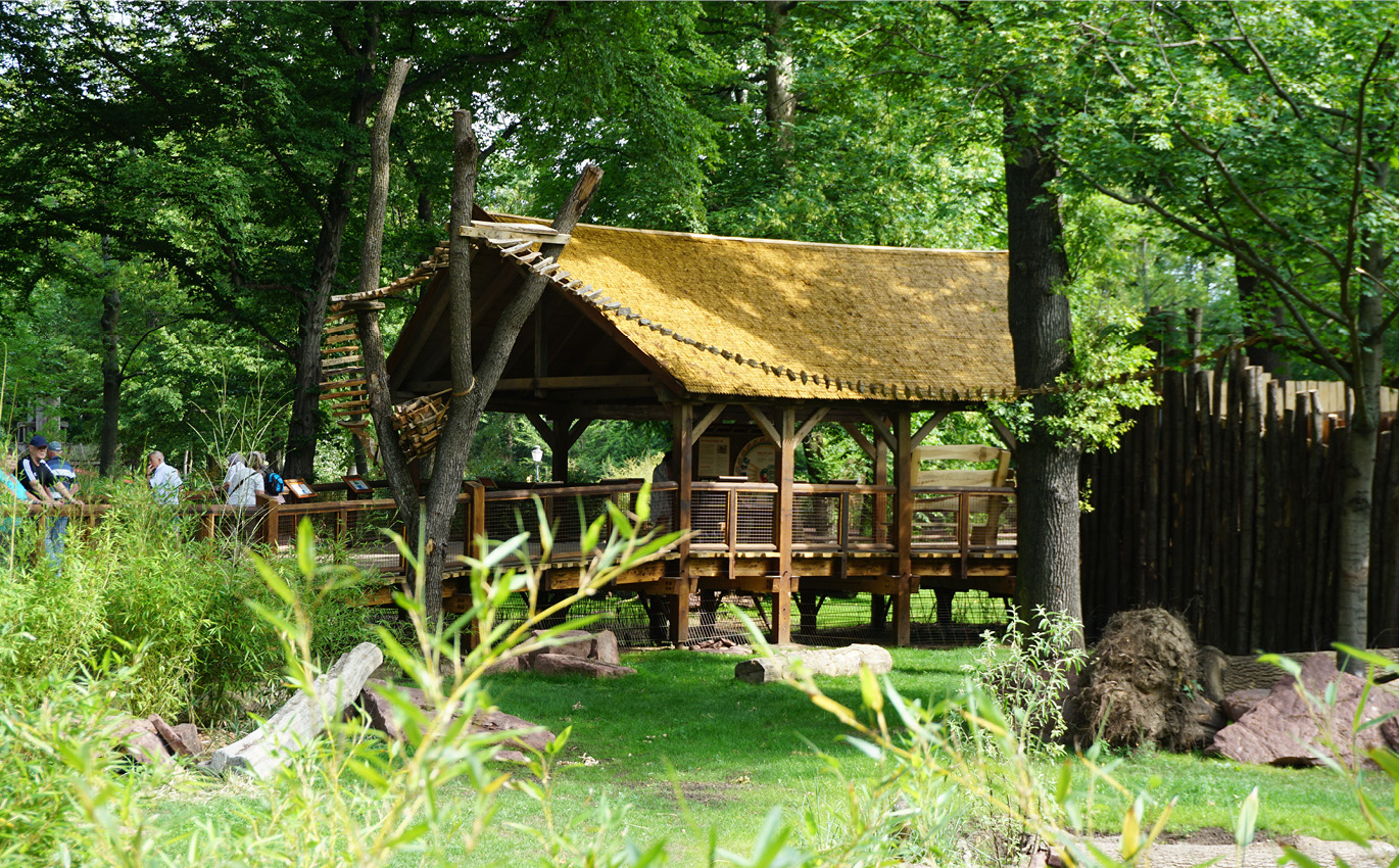 Wooden walkway with integrated learning station in the South America experience at Leipzig Zoo 