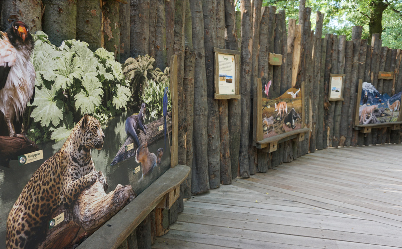 Scenographic learning station at the zoo shows acoustically different animal voices