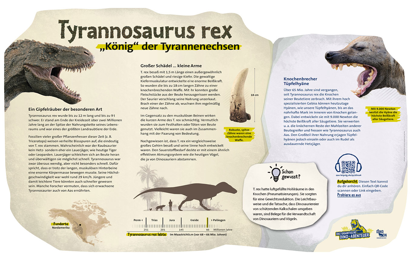 Wissen über den Tyrannosaurus rex "König" der Tyrannenechsen