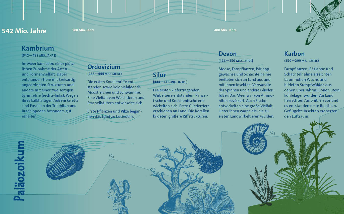 Section of the historical banner: Paleozoic era