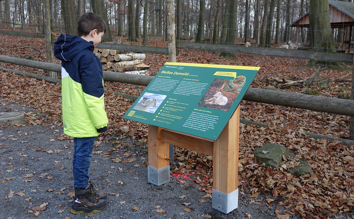 Junge steht vor Infotafel im Wald