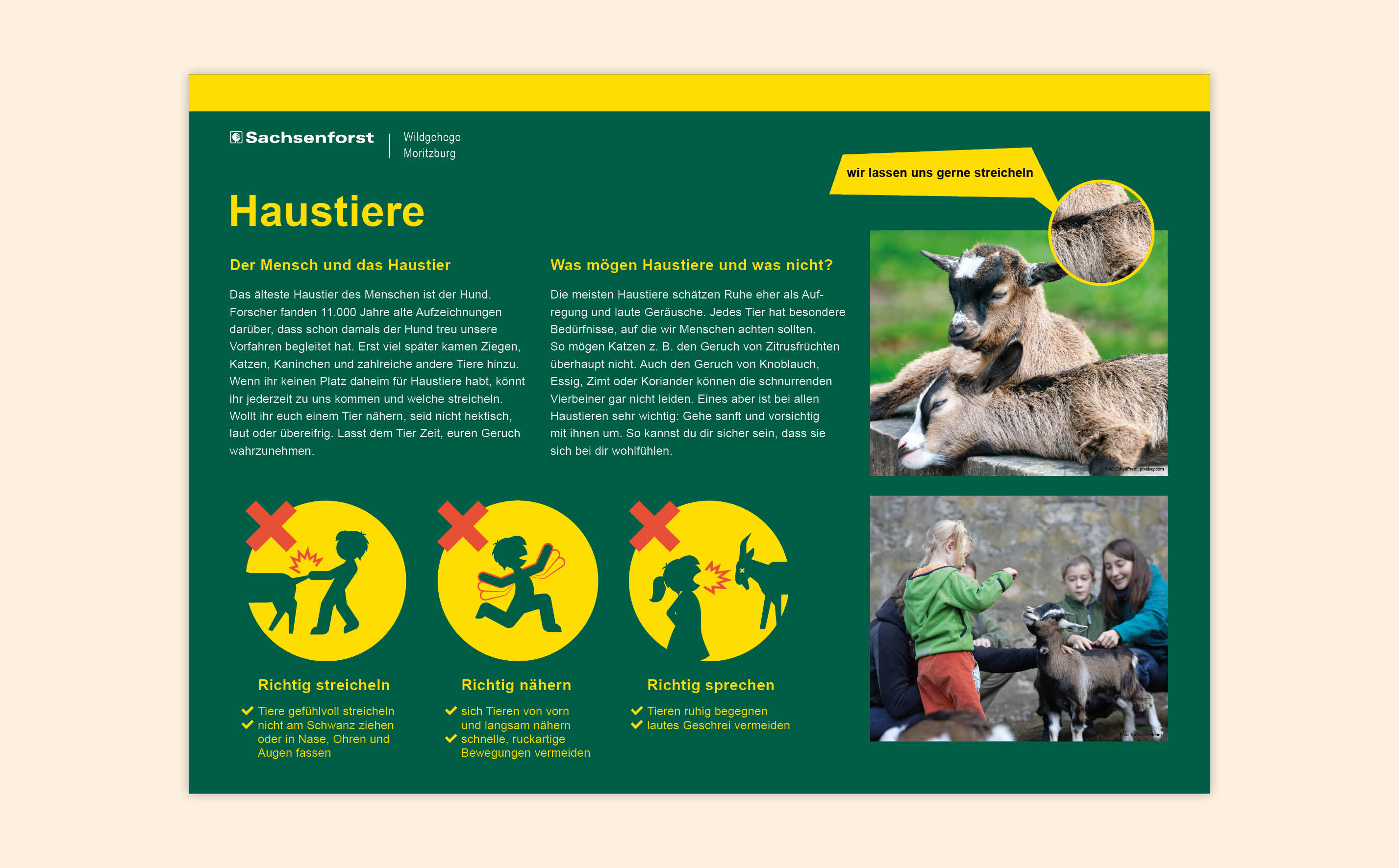 Layout der Infotafel: Haustiere