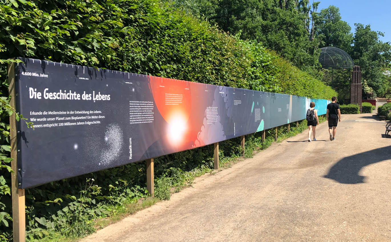 Giant banner: 4,600 million years, The history of life